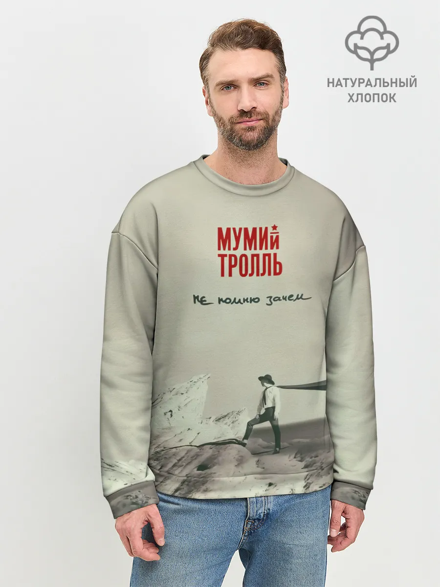 Мужской свитшот базовый / Мумий Тролль Не помню зачем...