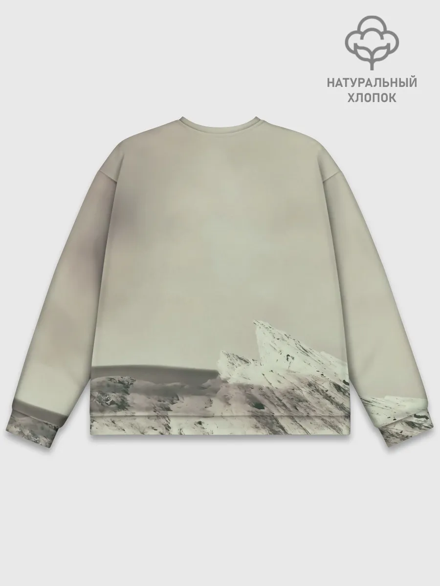 Мужской свитшот базовый / Мумий Тролль Не помню зачем...