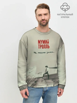 Мужской свитшот базовый / Мумий Тролль Не помню зачем...