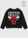 Мужской свитшот базовый / B.C. Chicago Bulls