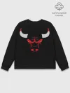Мужской свитшот базовый / B.C. Chicago Bulls