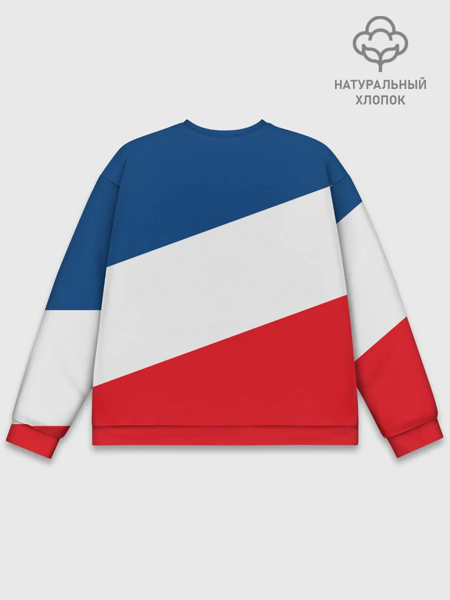 Мужской свитшот базовый / Paris Saint-Germain FC