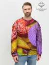 Мужской свитшот базовый / Разноцветные ракушки multicolored seashells