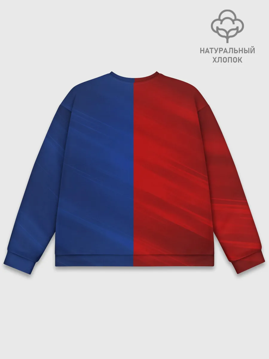 Мужской свитшот базовый / Логотип Alpina