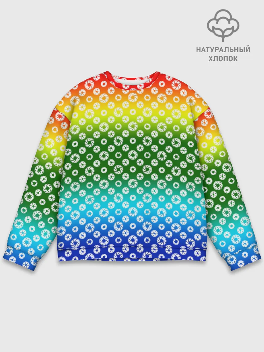 Мужской свитшот базовый / Для фотографов. RGB. Диафрагма.