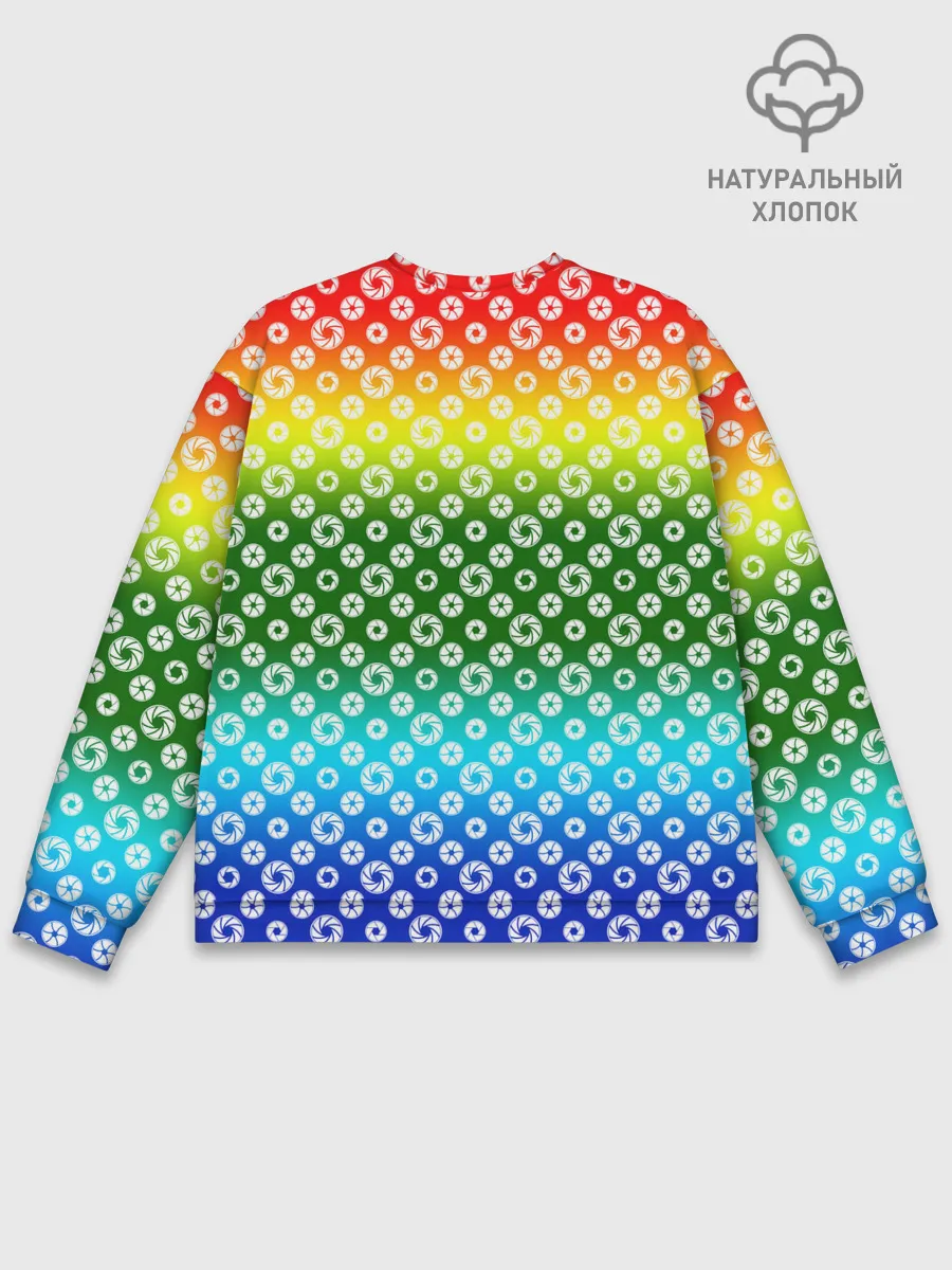 Мужской свитшот базовый / Для фотографов. RGB. Диафрагма.