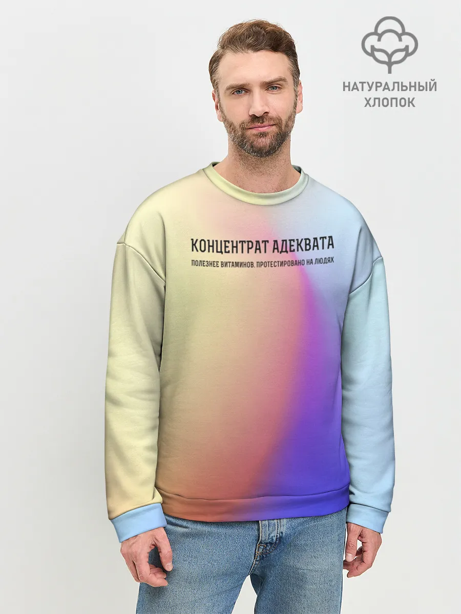 Мужской свитшот базовый / Концентрат адеквата