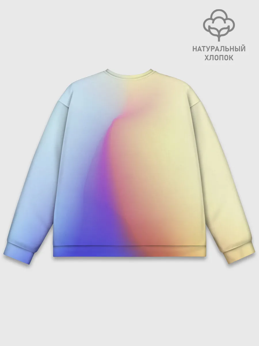 Мужской свитшот базовый / Концентрат адеквата