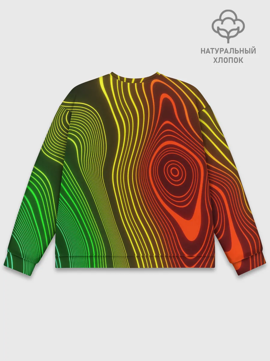 Мужской свитшот базовый / КАРТОГРАФИЧЕСКАЯ ПРОЕКЦИЯ