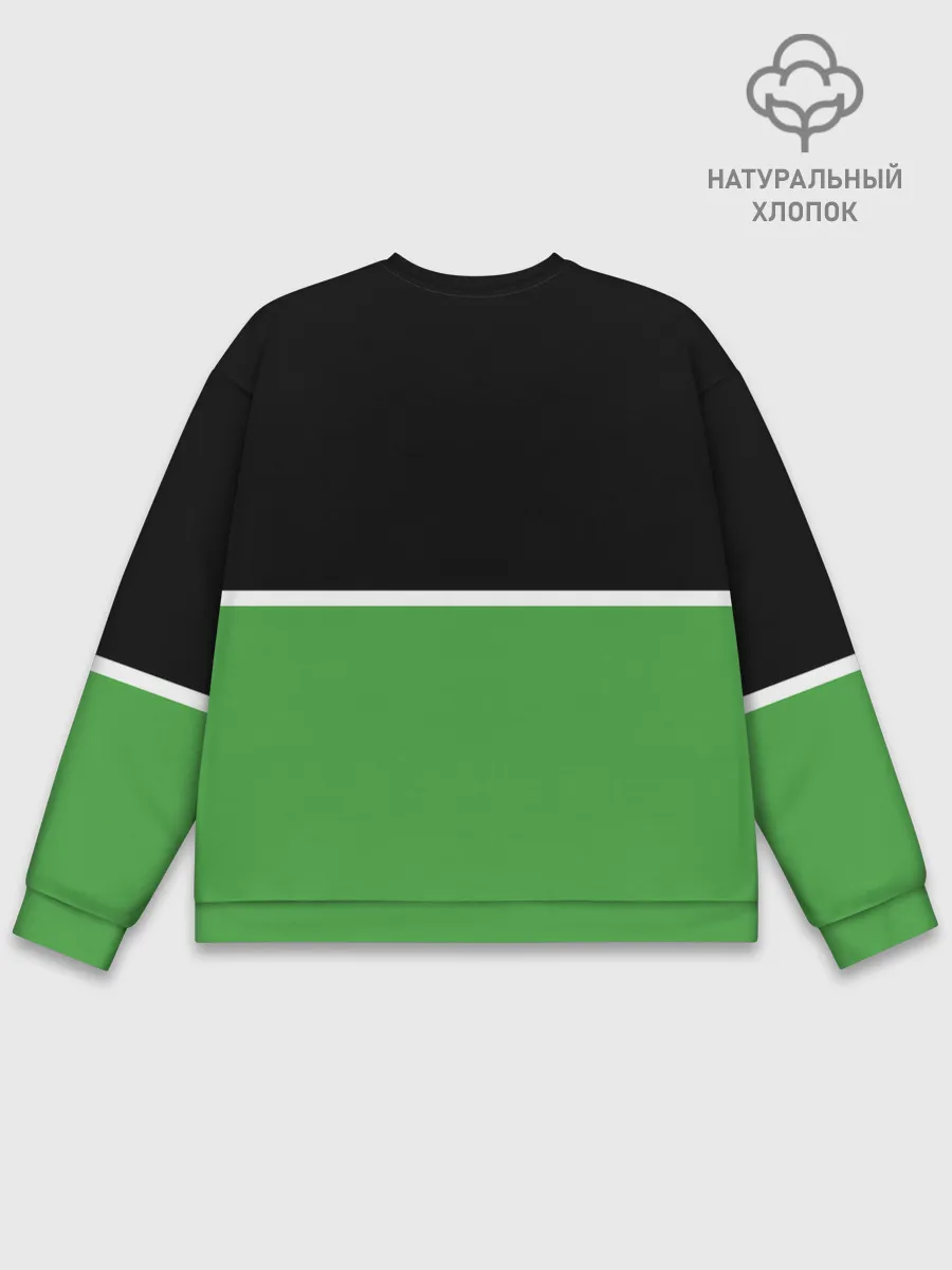 Мужской свитшот базовый / Skoda | Два цвета