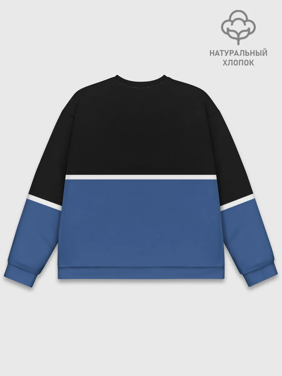 Мужской свитшот базовый / VW | Два цвета