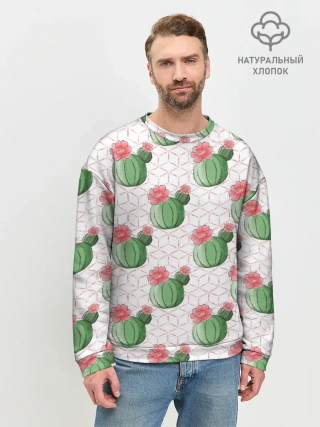 Мужской свитшот базовый / Паттерн из кактусов
