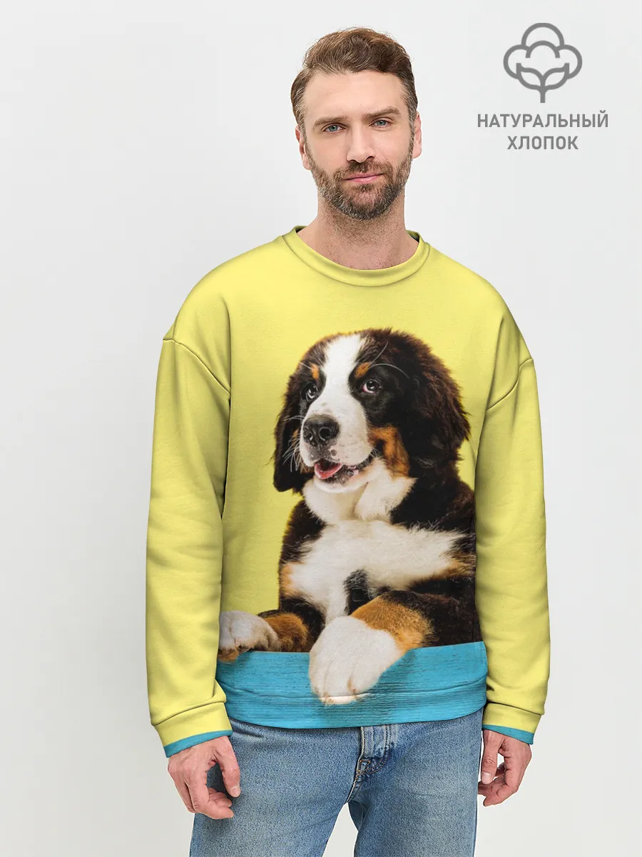 Мужской свитшот базовый / Бернский зенненхунд, Berner Sennenhund