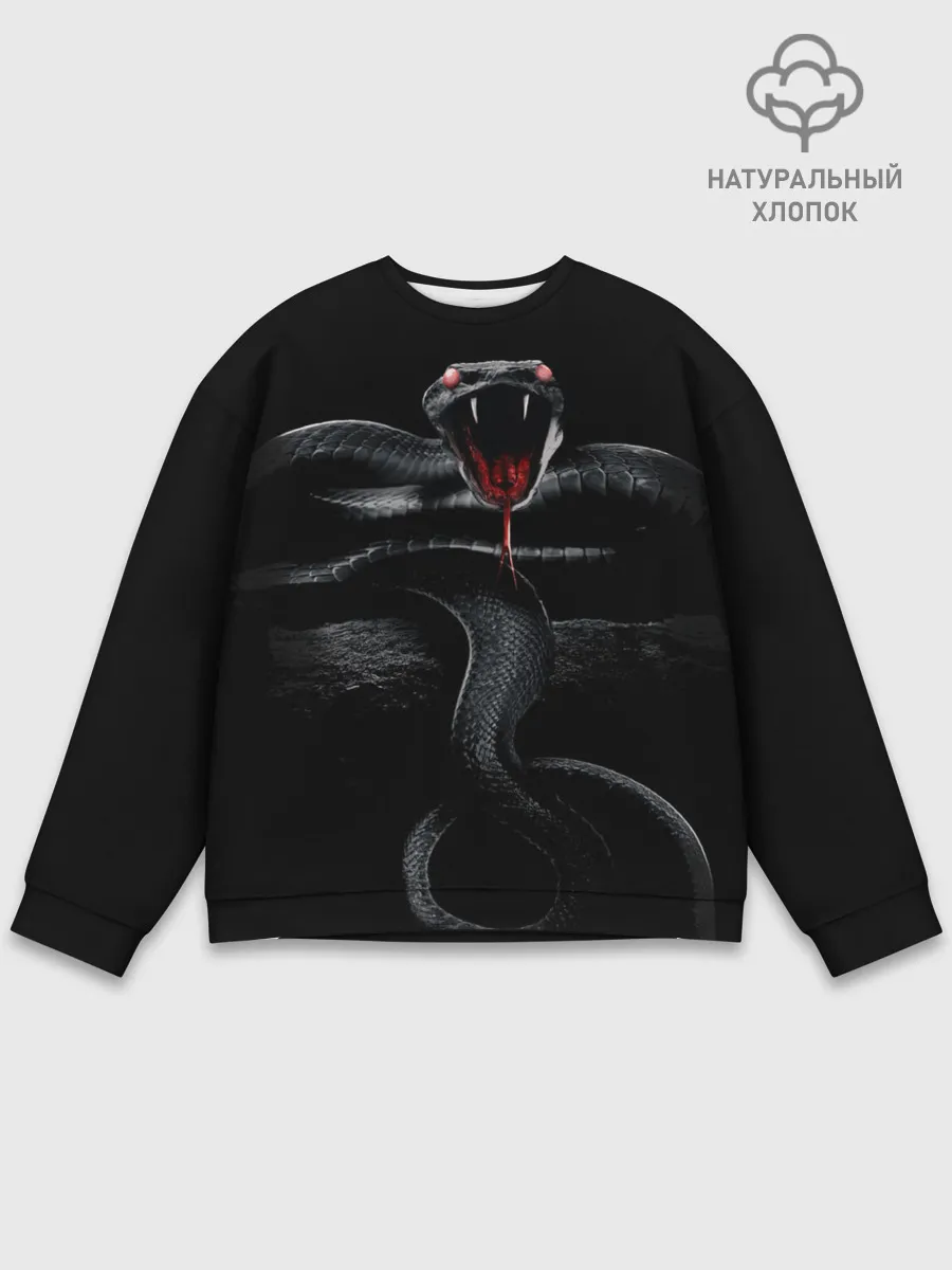 Мужской свитшот базовый / ЗМЕЯ НА КАМНЕ НА ЧЕРНОМ ФОНЕ