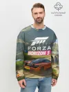 Мужской свитшот базовый / Forza Horizon 5, игра