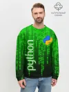 Мужской свитшот базовый / PYTHON / ПАЙТОН / ПИТОН / КОД