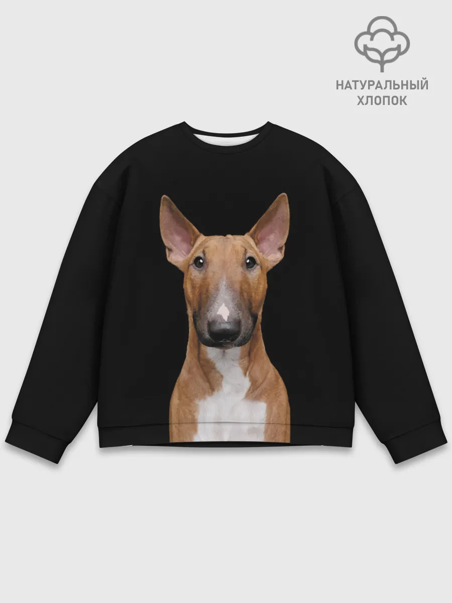 Мужской свитшот базовый / Строгий смелый взгляд