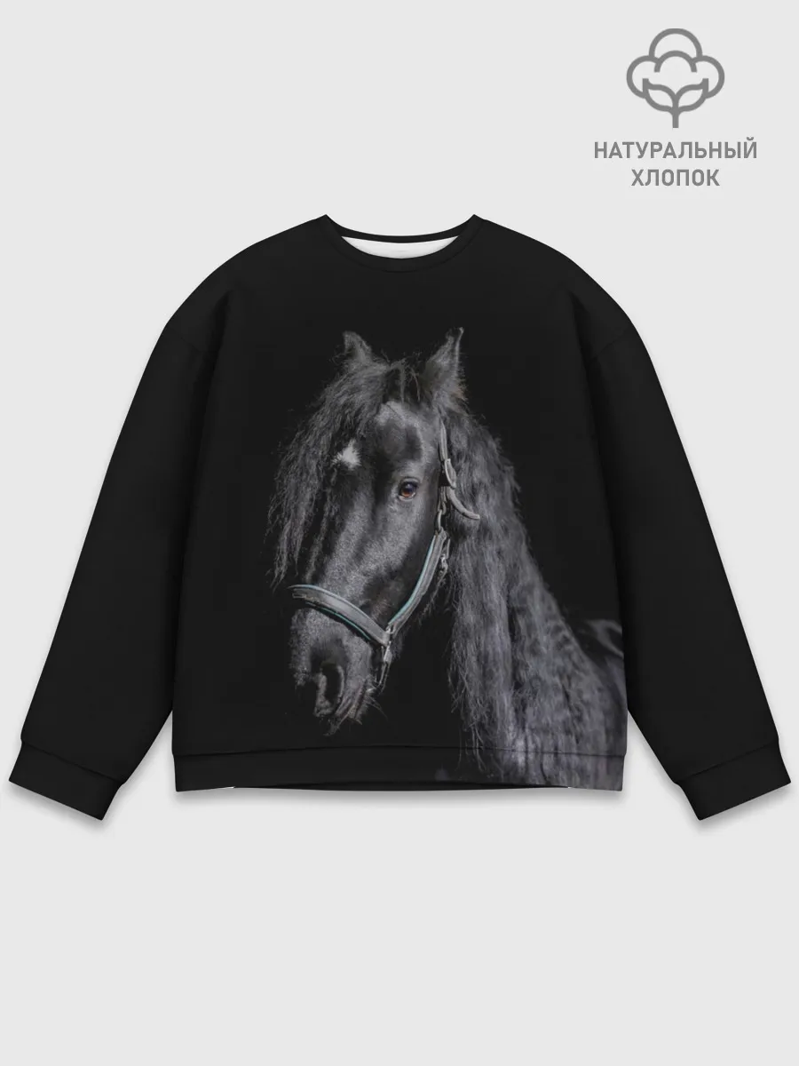 Мужской свитшот базовый / Лошадь на черном фоне