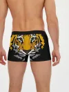Мужские трусы боксеры / Суровый взгляд тигра
