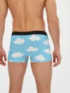 Мужские трусы боксеры / Белые облака