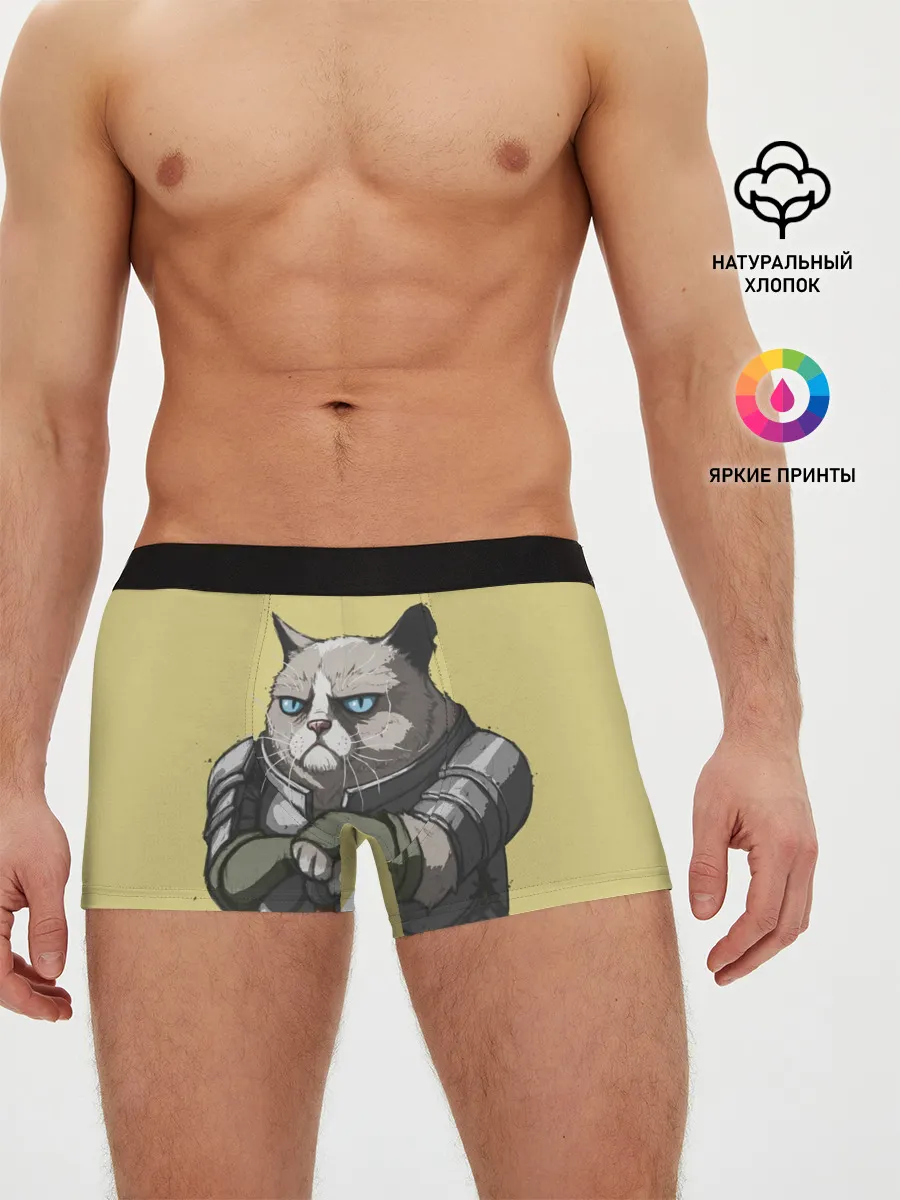 Мужские трусы боксеры / Кот