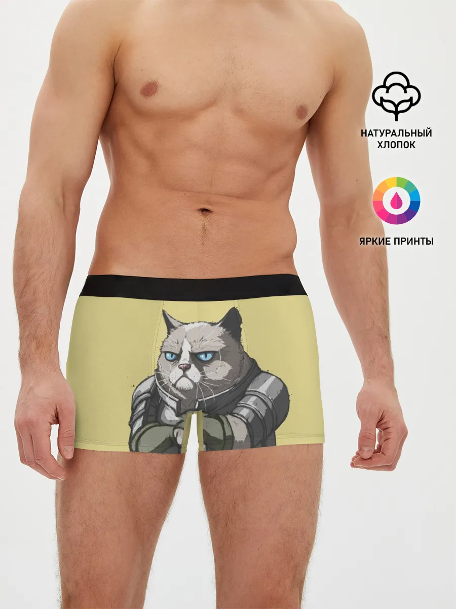 Мужские трусы боксеры / Кот