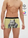 Мужские трусы боксеры / Кот