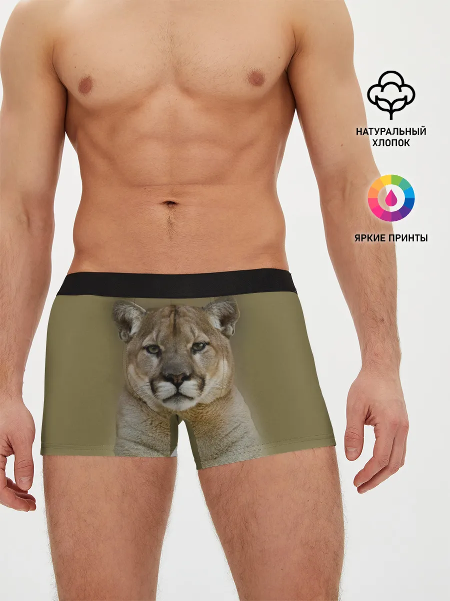 Мужские трусы боксеры / Пума