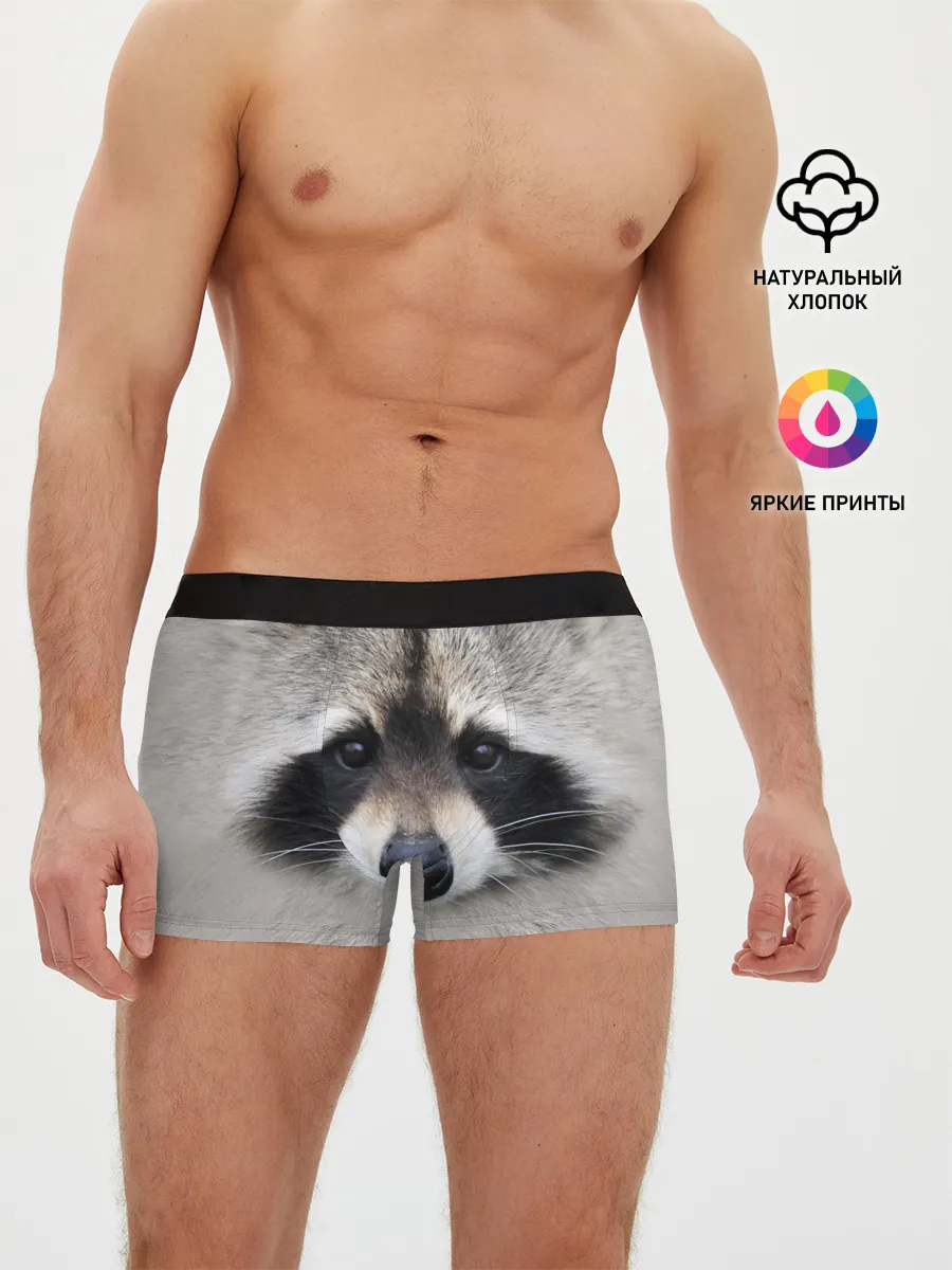 Мужские трусы боксеры / Енот