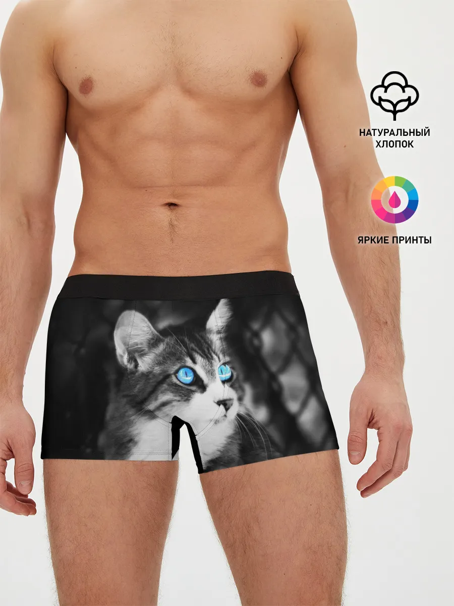 Мужские трусы боксеры / Кот