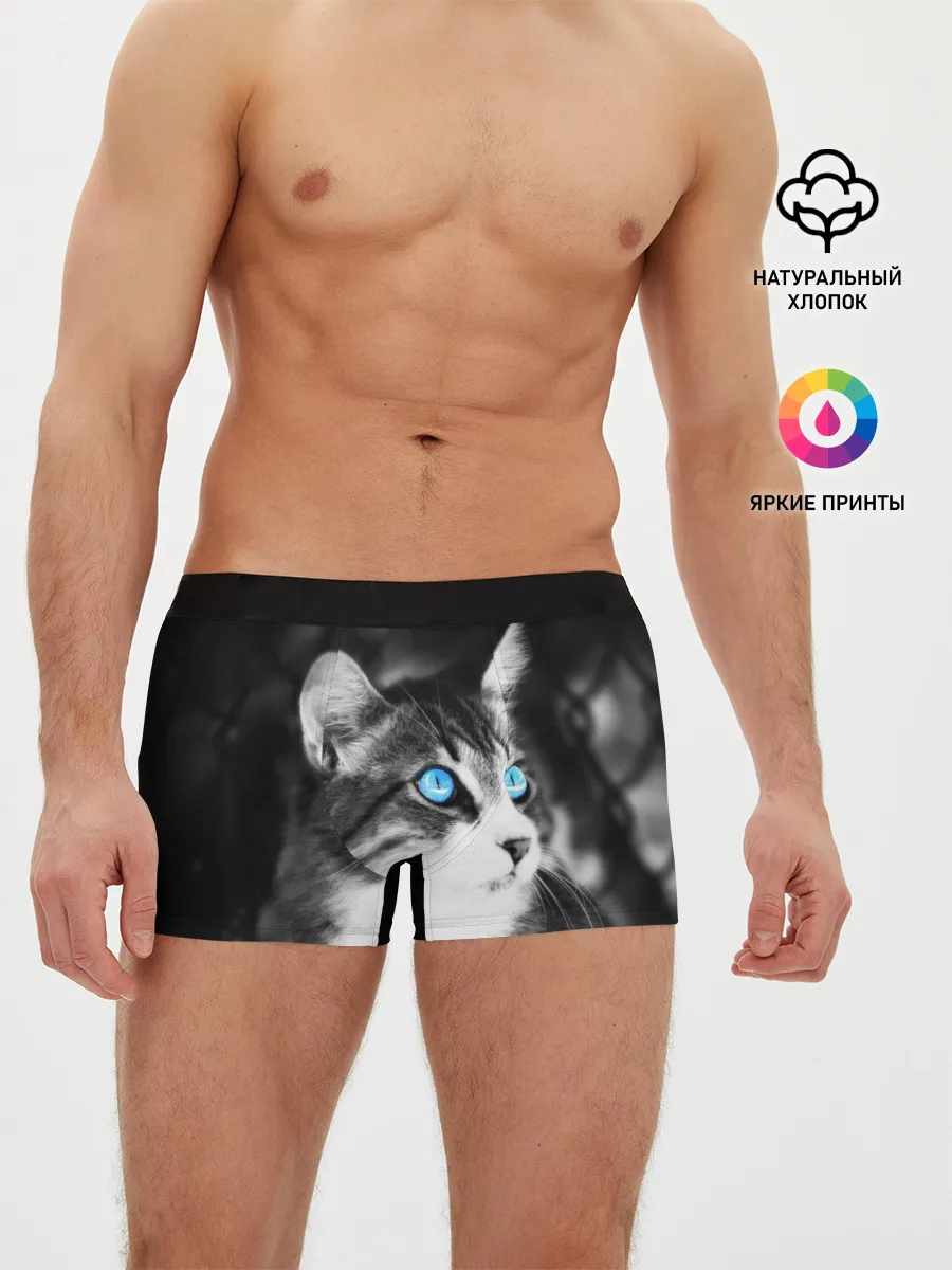Мужские трусы боксеры / Кот