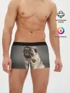 Мужские трусы боксеры / Мопс в кепке