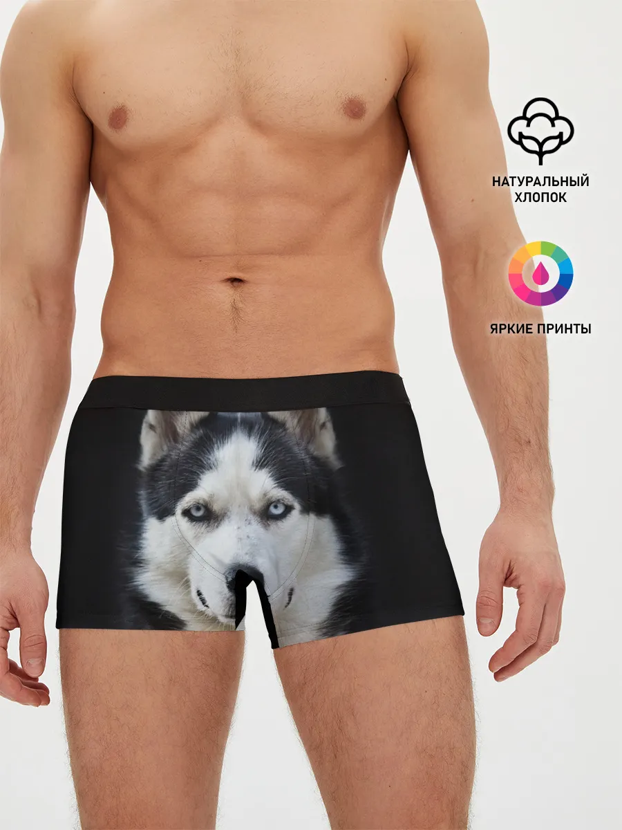 Мужские трусы боксеры / Хаски