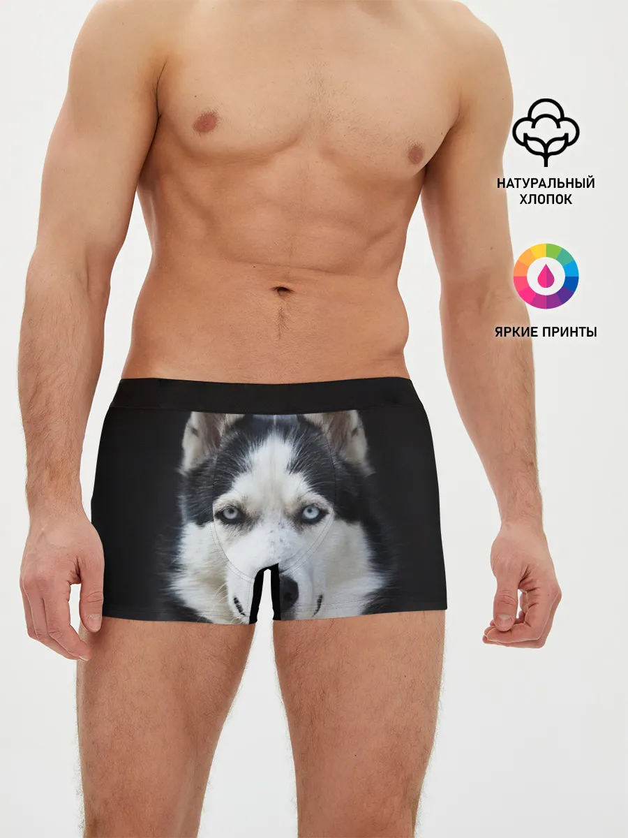 Мужские трусы боксеры / Хаски