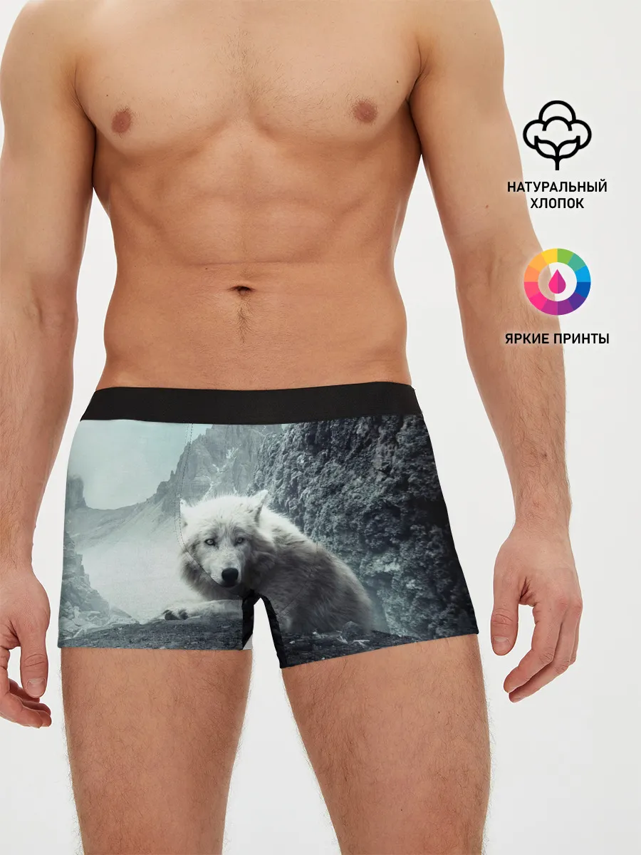 Мужские трусы боксеры / Волк в горах