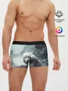 Мужские трусы боксеры / Волк в горах