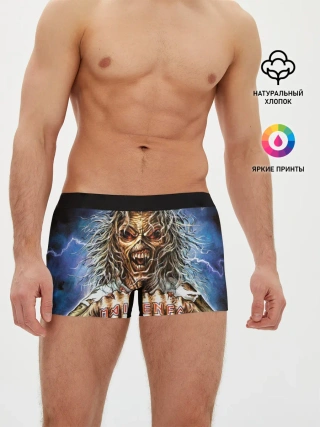 Мужские трусы боксеры / Iron maiden 6