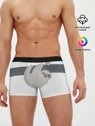 Мужские трусы боксеры / Веселый ленивец