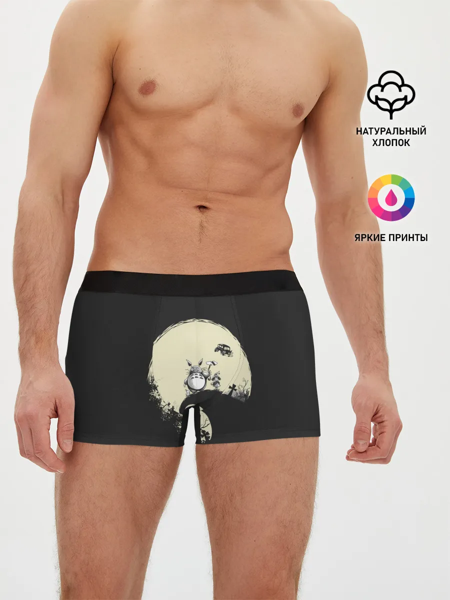 Мужские трусы боксеры / Totoro