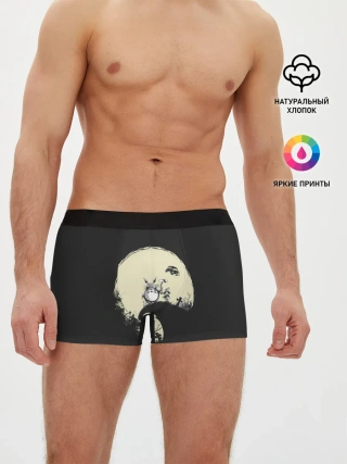 Мужские трусы боксеры / Totoro