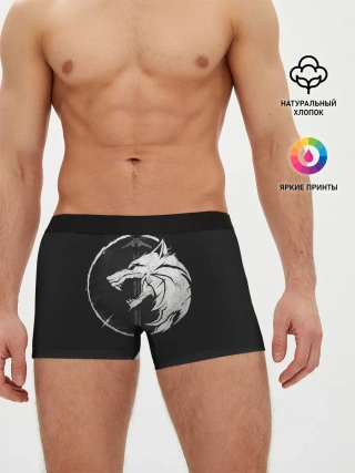 Мужские трусы боксеры / The Witcher 3: Wild Hunt