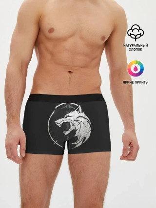Мужские трусы боксеры / The Witcher 3: Wild Hunt