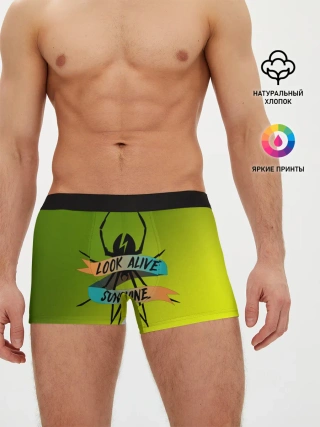 Мужские трусы боксеры / Look alive sunshine
