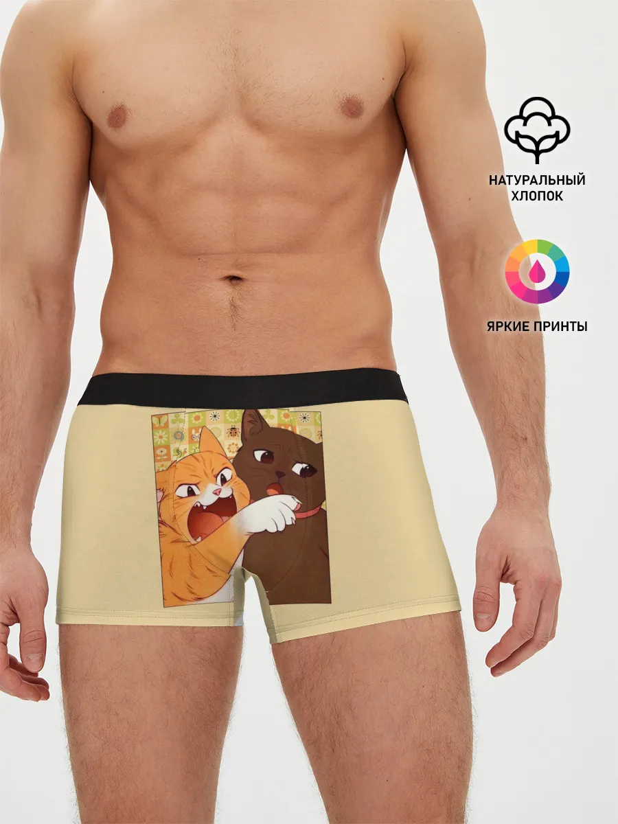 Мужские трусы боксеры / Woman yelling at Cat meme