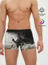 Мужские трусы боксеры / Ghost of Tsushima