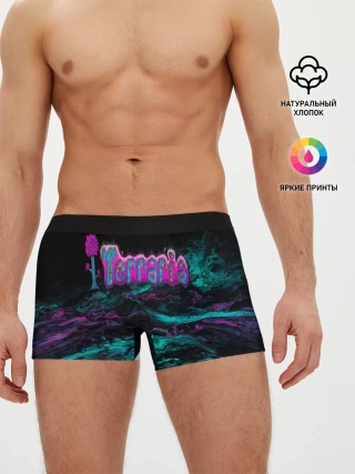 Мужские трусы боксеры / Terraria