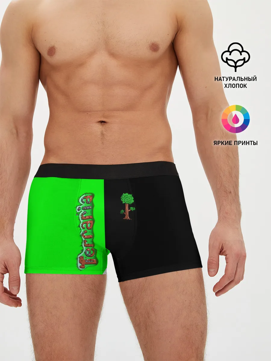 Мужские трусы боксеры / Terraria
