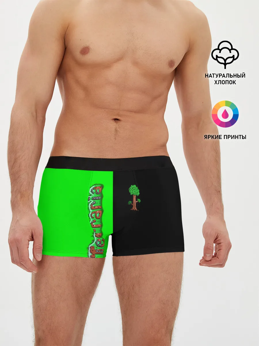 Мужские трусы боксеры / Terraria