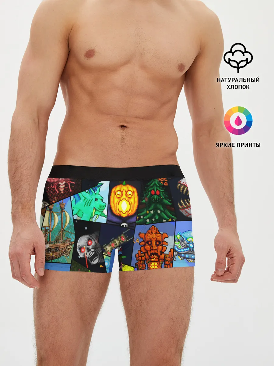 Мужские трусы боксеры / Terraria allpic