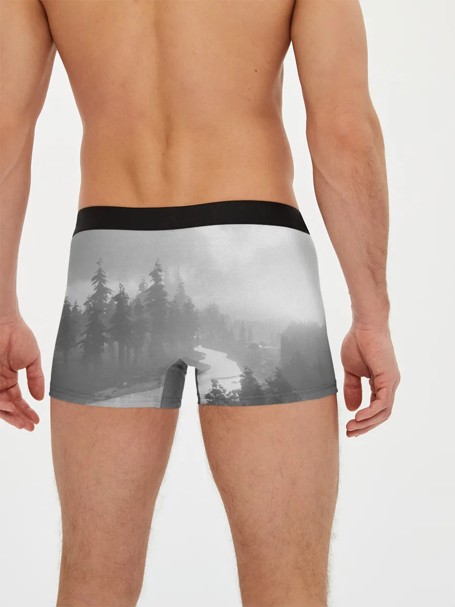 Мужские трусы боксеры / Ark Survival Evolved